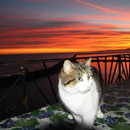 Bed & Breakfast Porta Del Mare 3*