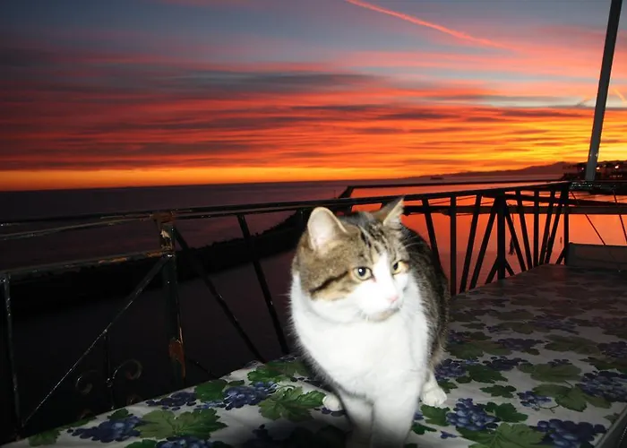 Bed & Breakfast Porta Del Mare 3*